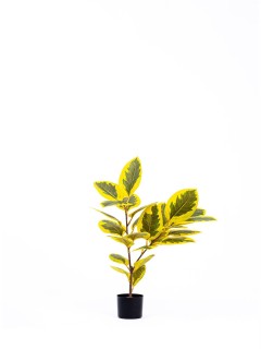 The Mia Yapay Ficus Altissima Ağacı Sarı Yeşil
