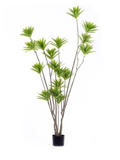 The Mia Yapay Lily Bamboo Ağacı Yeşil