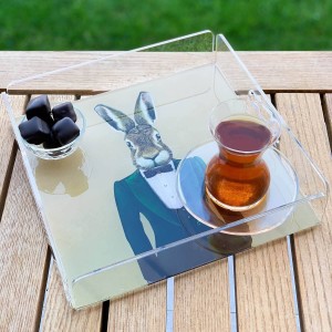 Mr. Rabbit Pleksi Tepsi - PT2103 - 25x25cm