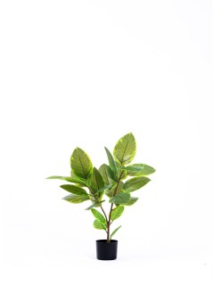 The Mia Yapay Ficus Altissima Ağacı Yeşil