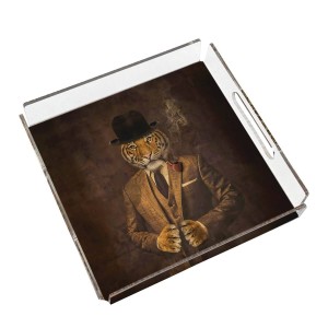 Mr. Tiger Pleksi Tepsi - PT2100 - 25x25cm