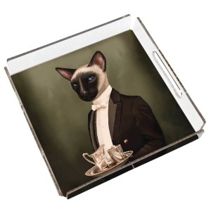 Mr. Cat Pleksi Tepsi - PT2104 - 25x25cm