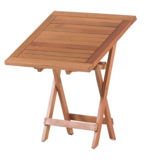 Venedik Gürgen Masa 70*70