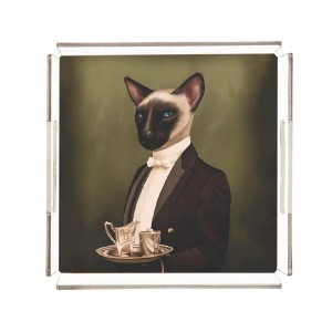 Mr. Cat Pleksi Tepsi - PT2104 - 25x25cm