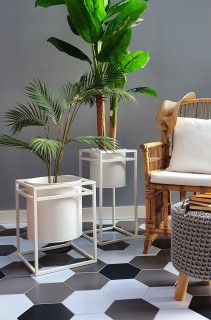 The Mia Saksı (60x30 cm)