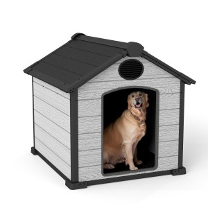 Kedi ve Köpek Kulübesi