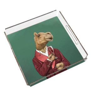 Mr. Camel Pleksi Tepsi - PT2102 - 25x25cm