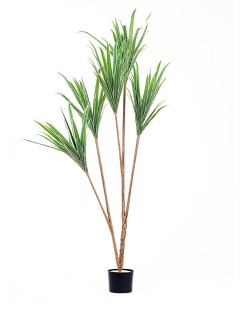 The Mia Yapay Dracaena Ağacı 3 Dallı